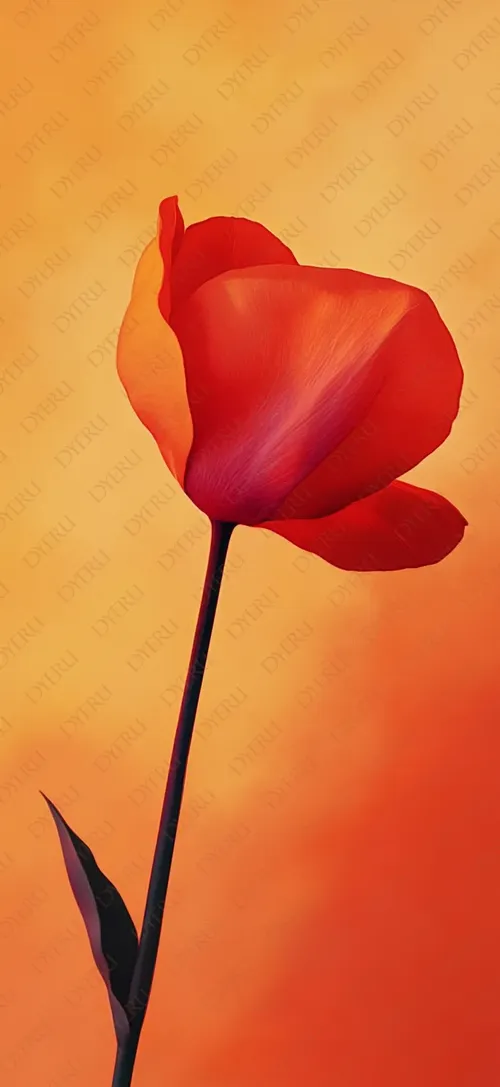 ดอกทิวลิปสีส้มสดใสบนพื้นหลังสีส้มอบอุ่น